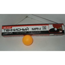 Теннисный мяч 