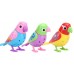 Музыкальная птичка Digi Birds