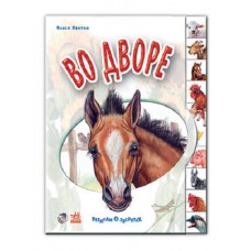 Книжка в дворе 